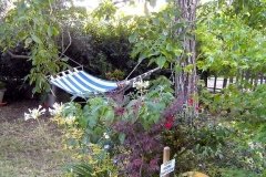 Amaca b&b